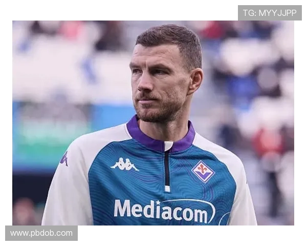 沙尔克旧将建议续约哲科 助球队在德甲崭露头角